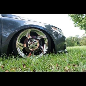 Meet your Posher, Darwin